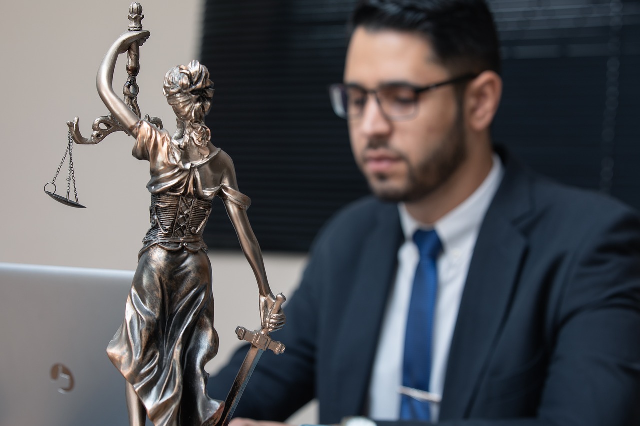 What Does a Lawyer Do?