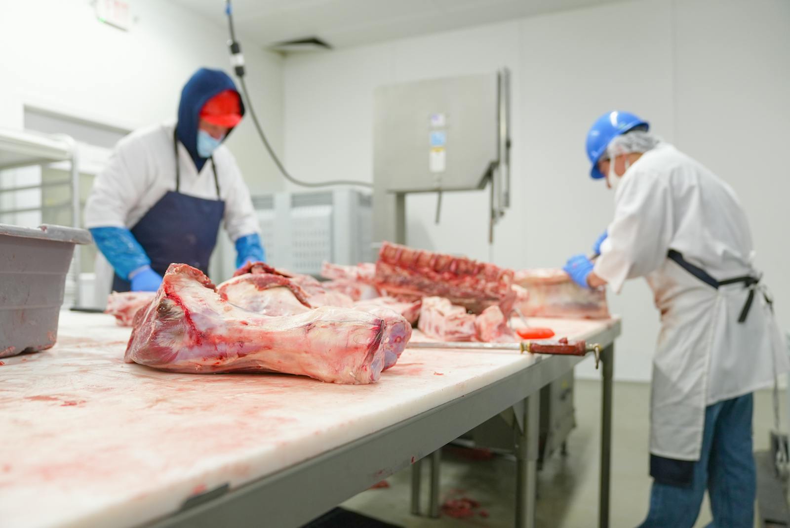 Freshly Sliced Meat on Counter Top