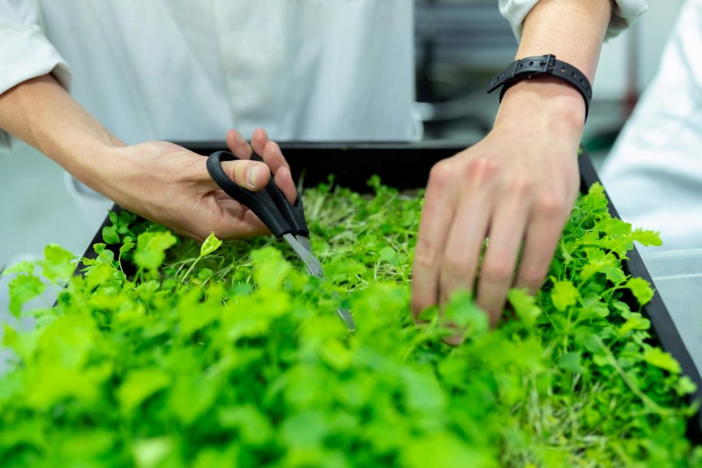 Agricultural scientist